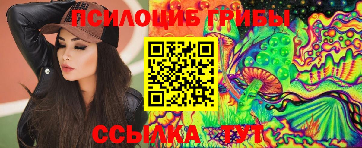 Псилоцибиновые грибы мицелий  Псилоцибиновые грибы прущие грибы  даркнет сайт  Северск  Вход с VPN 