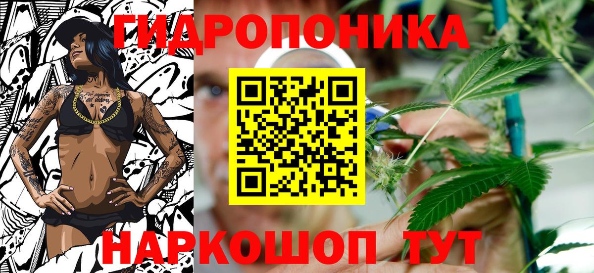 Канабис Amnesia Северск